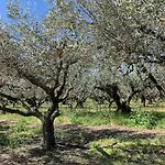 Prázdninový dům Maison En Provence Au Bord De La Riviere