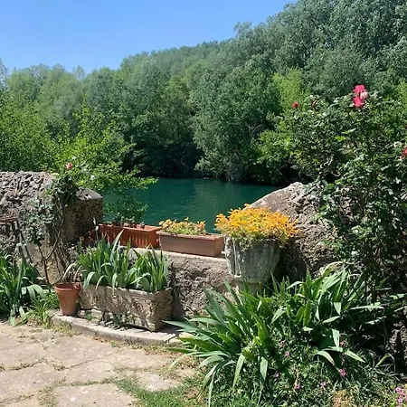 Maison En Provence Au Bord De La Riviere * Montfrin