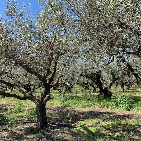Prázdninový dům Maison En Provence Au Bord De La Riviere